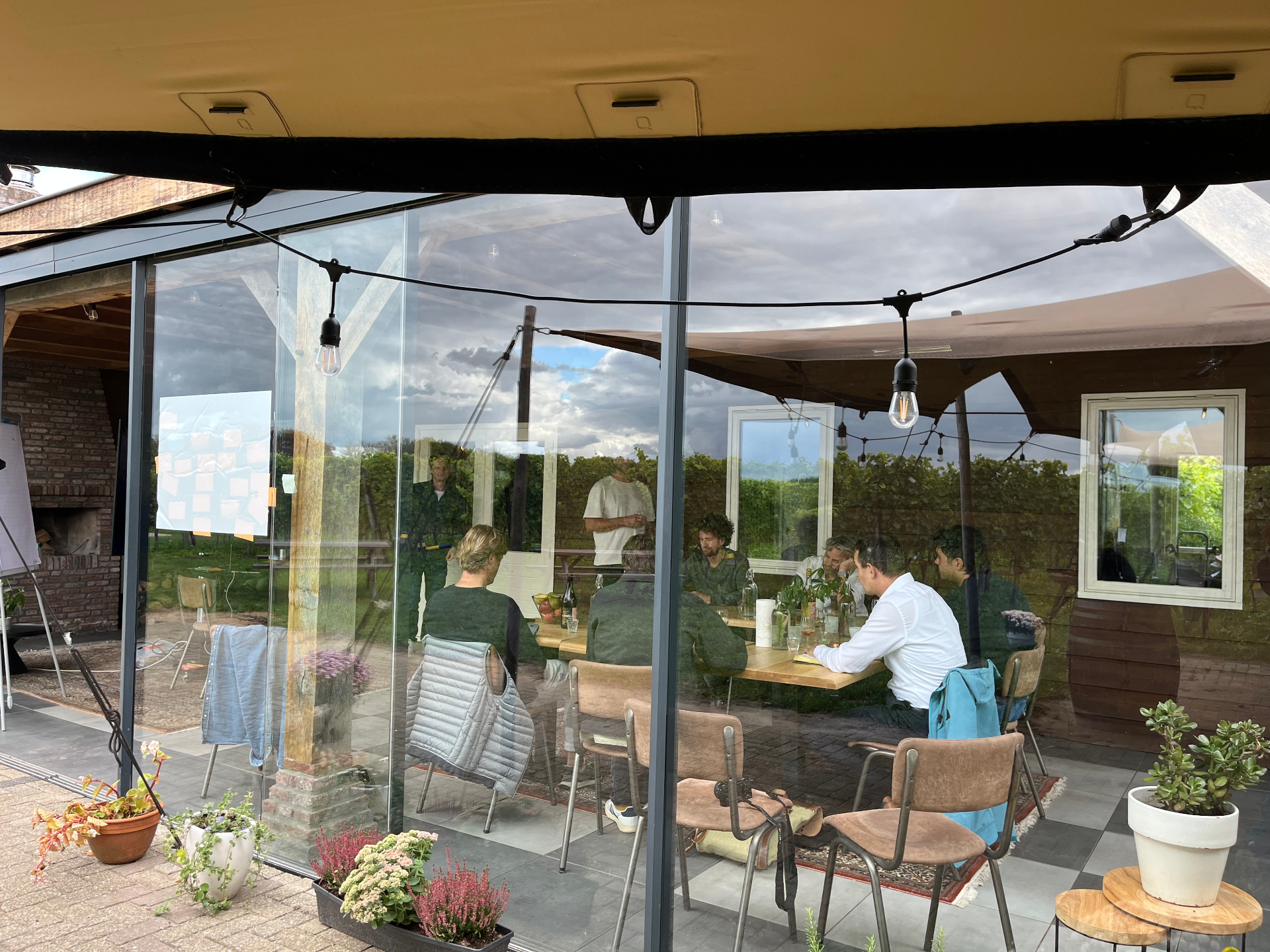The setting: a glass veranda surrounded by the vineyard
